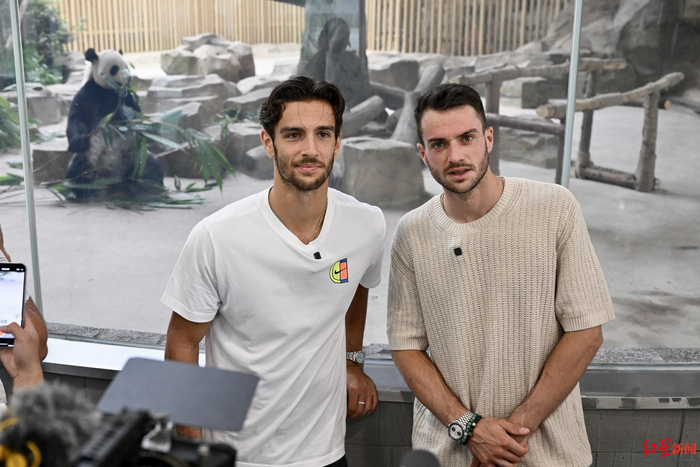 在巨大的比 在巨大的比